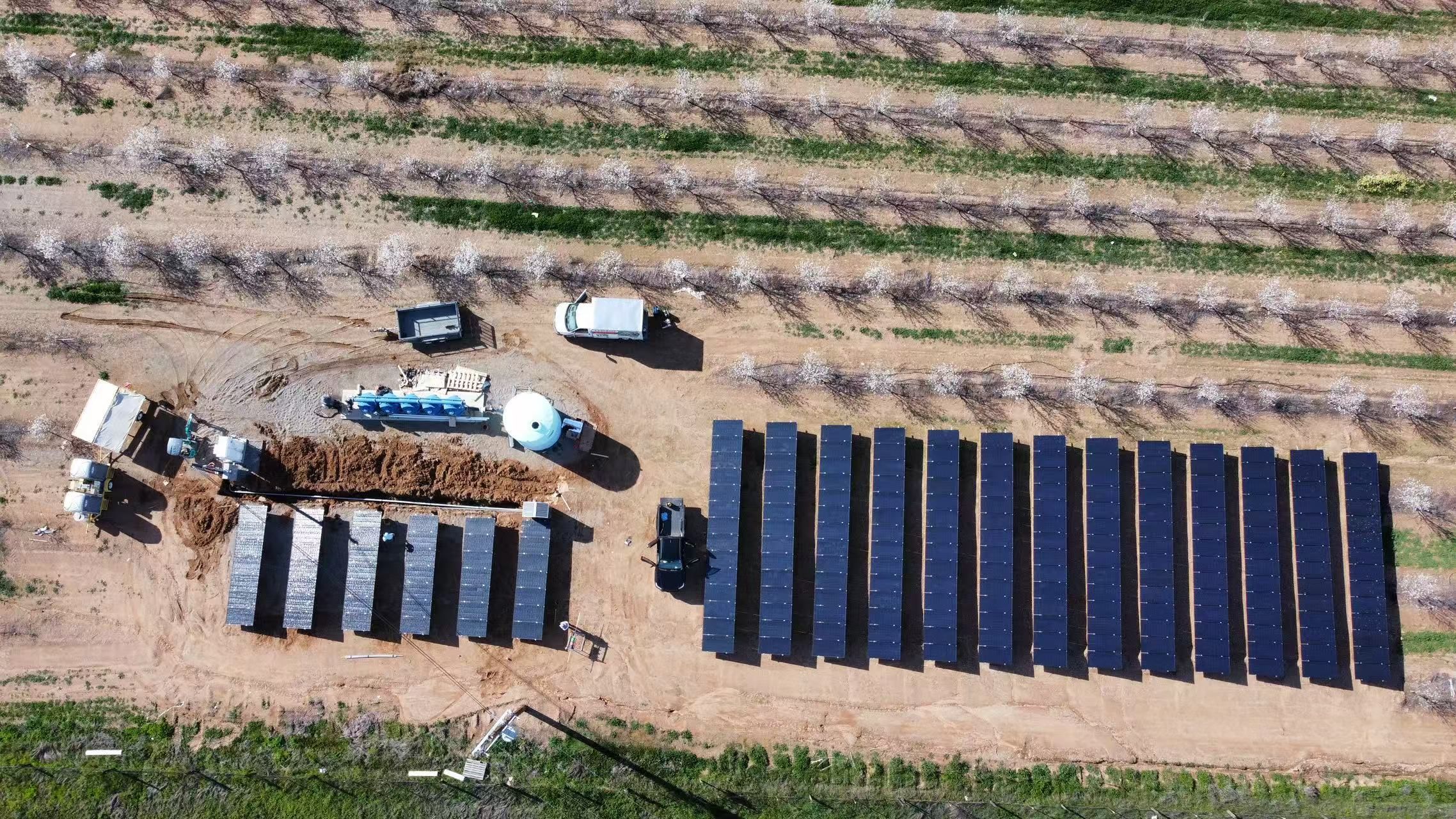 Solar Farm at Corning, CA